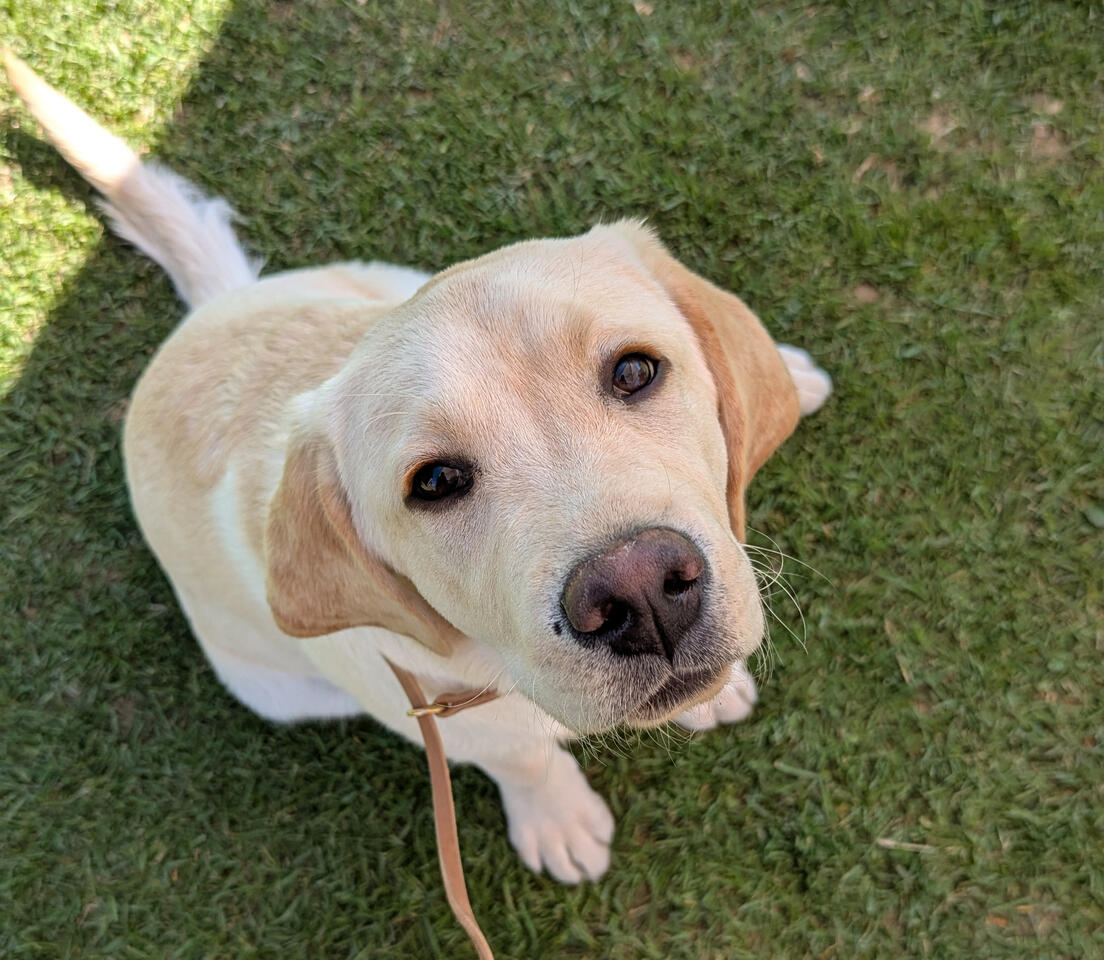 Looking up.